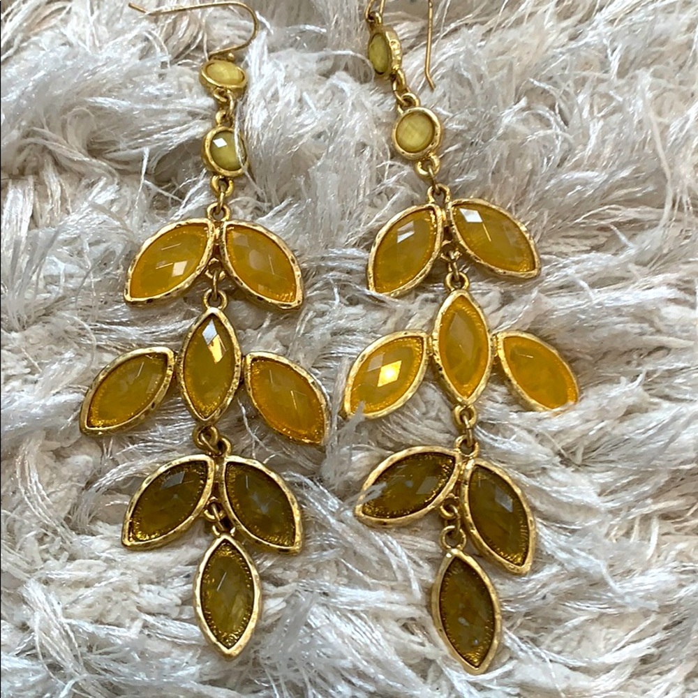 Long dangling Earrings